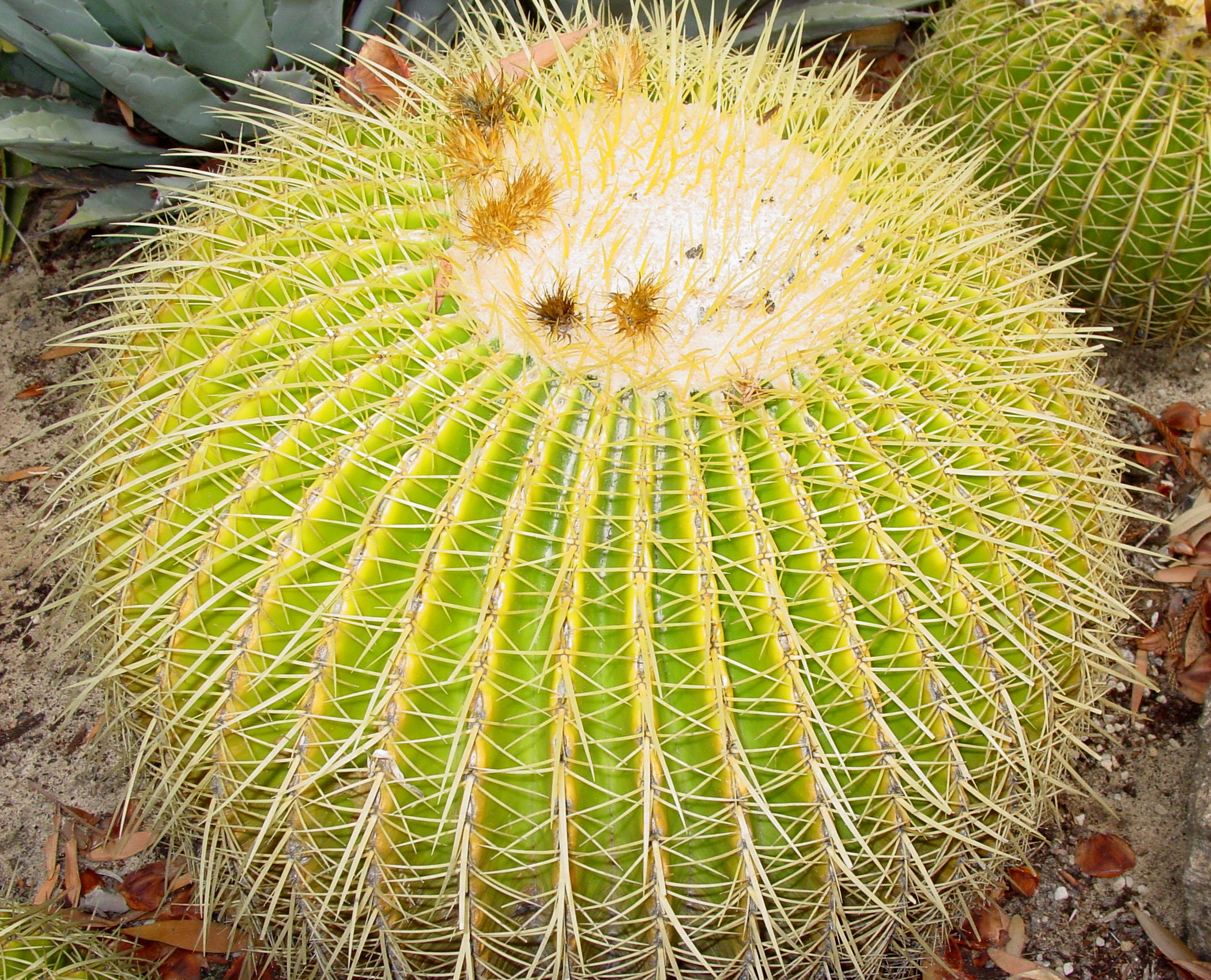 Photography by AussieBluey for DesignCrowd (Community Contests) | Design #9125151