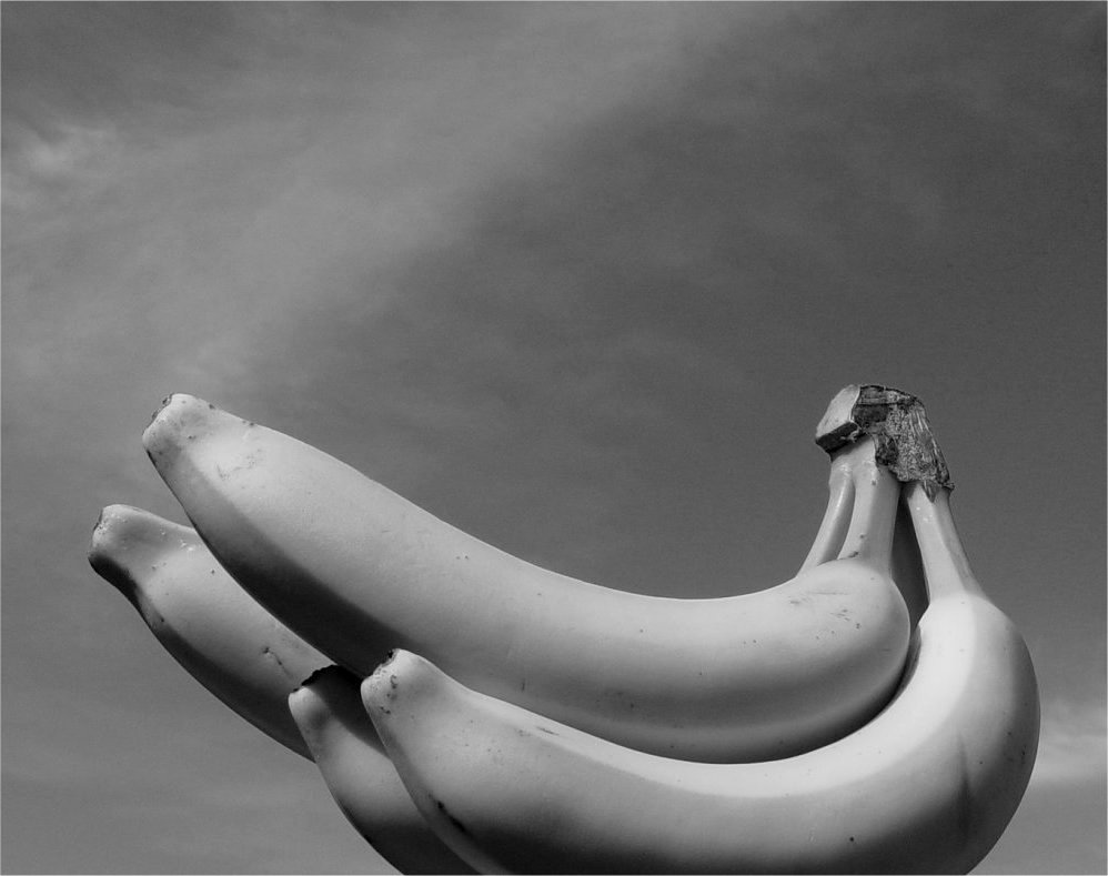 Photography by CSC10000 for DesignCrowd (Community Contests) | Design #9125101