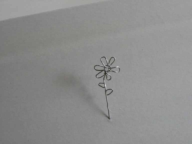 Photography by Caligreal for DesignCrowd (Community Contests) | Design #9125185