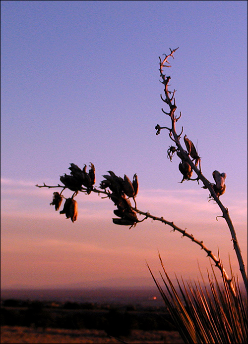 Photographie par compugoddess pour DesignCrowd (Community Contests) | Design #9125090