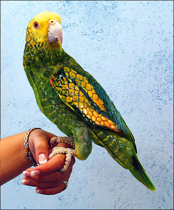 Photoshop Design by Rexmundi for DesignCrowd (Community Contests) | Design #9127267