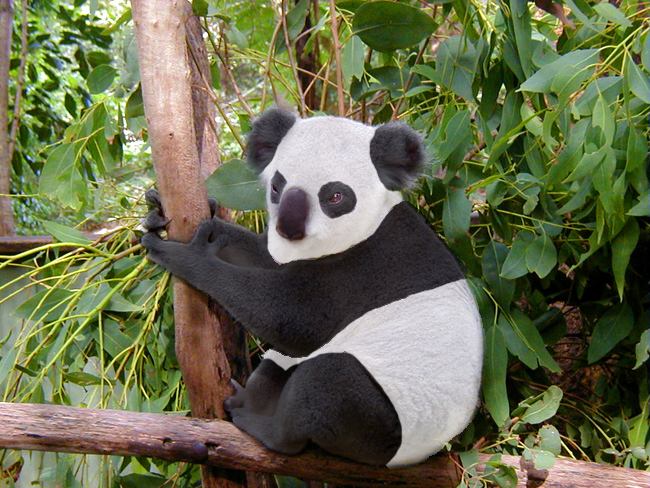 Design Photoshop par jaysin pour DesignCrowd (Community Contests) | Design #9127280