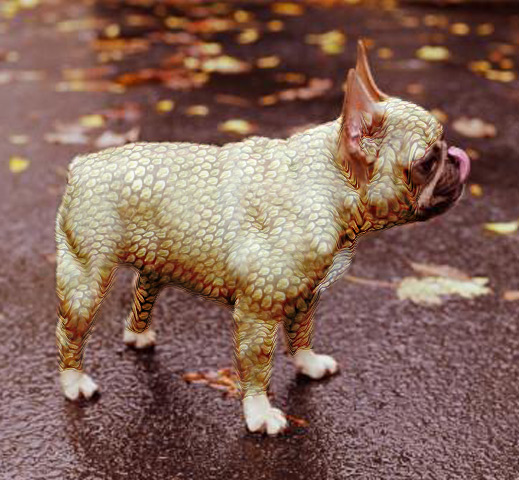 Photoshop Design by aeahumada for DesignCrowd (Community Contests) | Design #9127317