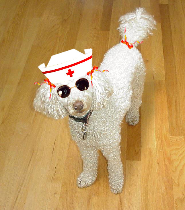 Photoshop Design by quinlanking for DesignCrowd (Community Contests) | Design #9128829