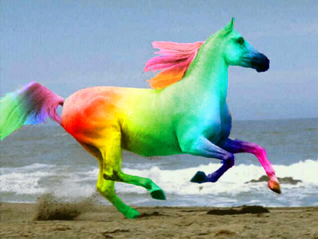 Photoshop-Design von fairyprncss für DesignCrowd (Community Contests) | Design #9127330