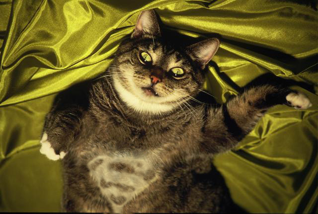 Photoshop Design by PhilMyGlass for DesignCrowd (Community Contests) | Design #9127326