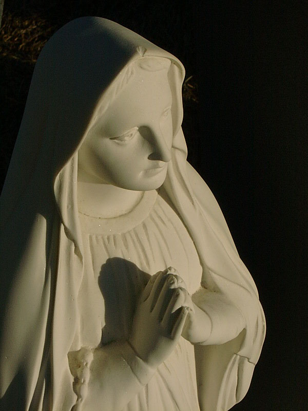 Photography by Kulstad for DesignCrowd (Community Contests) | Design #9110306