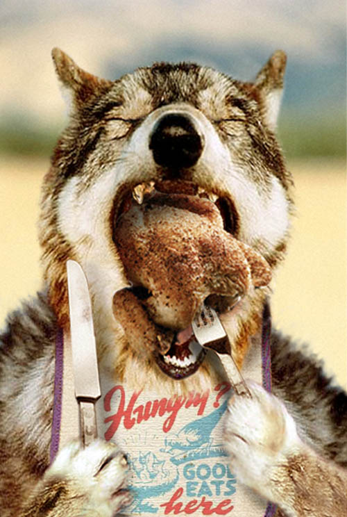 Photoshop Design by Monkeyknife for DesignCrowd (Community Contests) | Design #9123410