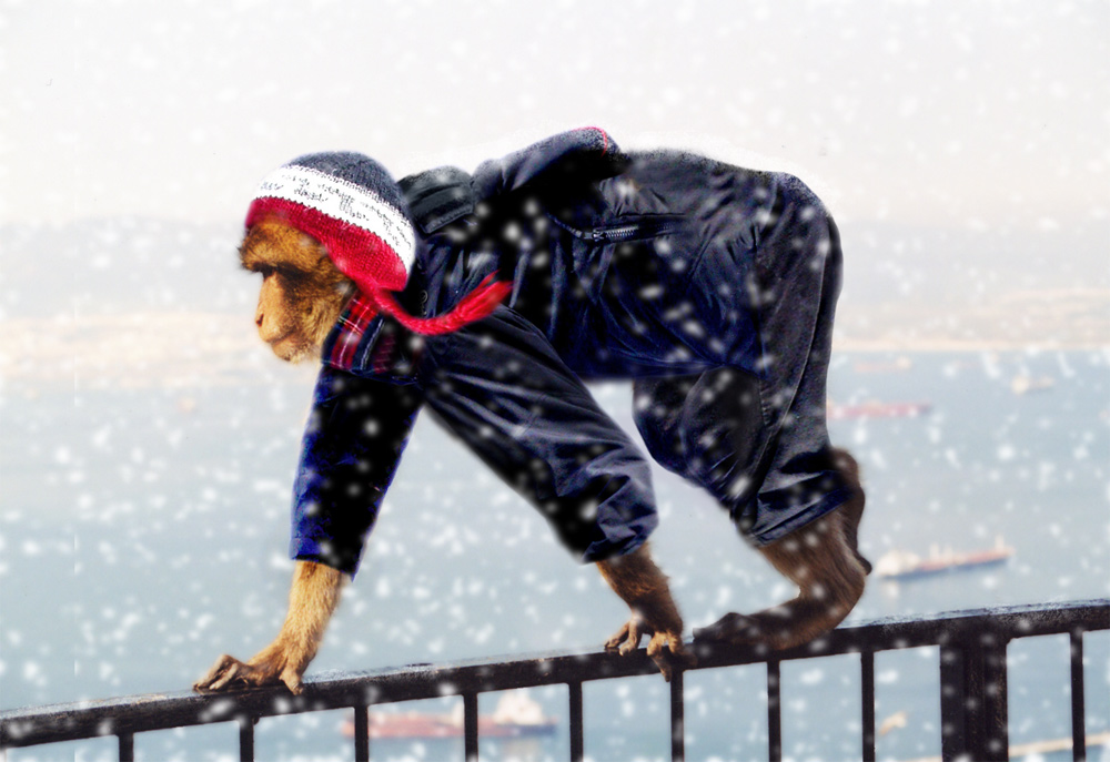 Photoshop Design by jazzpearl for DesignCrowd (Community Contests) | Design #9128882