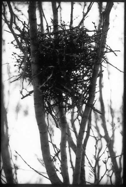 Photography by oneinfinity for DesignCrowd (Community Contests) | Design #9110363