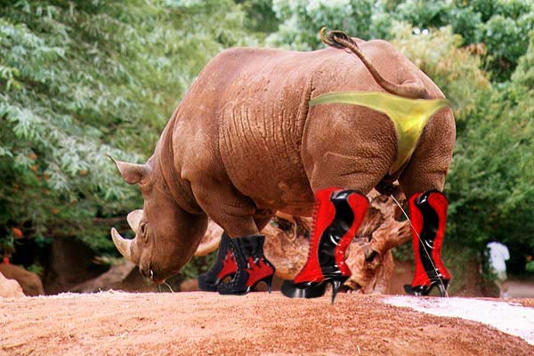 Photoshop-Design von JasonZ für DesignCrowd (Community Contests) | Design #9128887