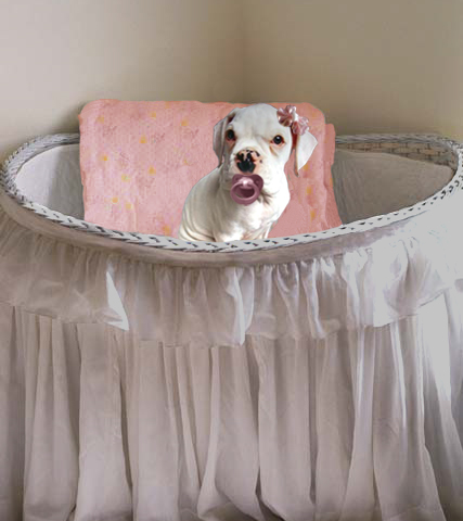 Photoshop Design by Audrakay for DesignCrowd (Community Contests) | Design #9128892