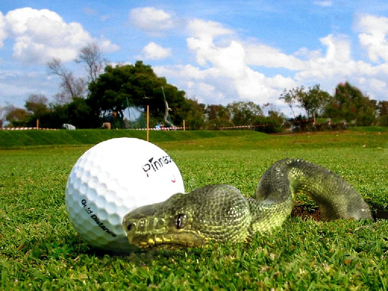 Photoshop Design by nagpai for DesignCrowd (Community Contests) | Design #9120369