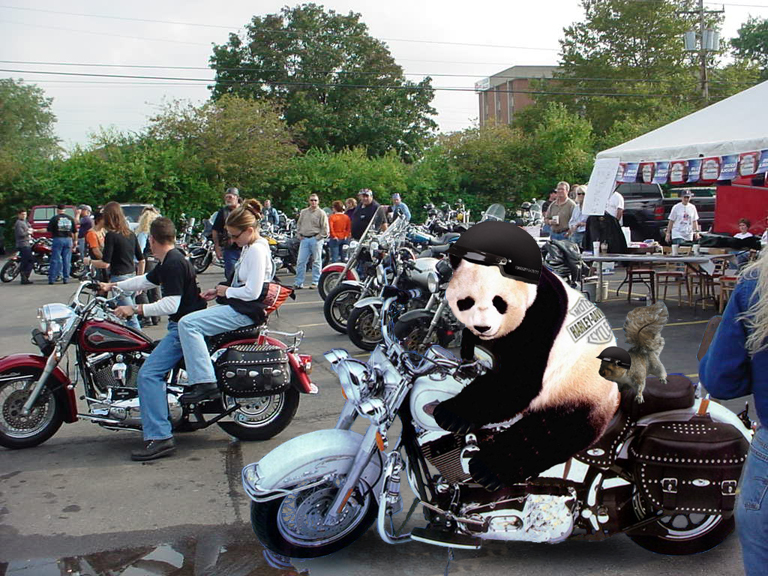 Photoshop Design by Valmont80 for DesignCrowd (Community Contests) | Design #9123519