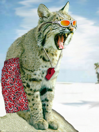 Photoshop-Design von geofferson für DesignCrowd (Community Contests) | Design #9128913