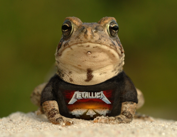 Photoshop Design by RedQueen for DesignCrowd (Community Contests) | Design #9129015