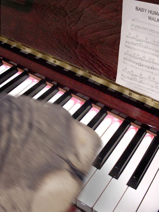 Photoshop Design by Beagle for DesignCrowd (Community Contests) | Design #9123524