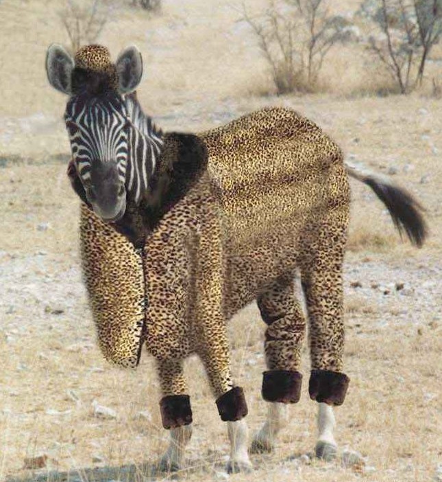 Design Photoshop par lebbTN pour DesignCrowd (Community Contests) | Design #9128954