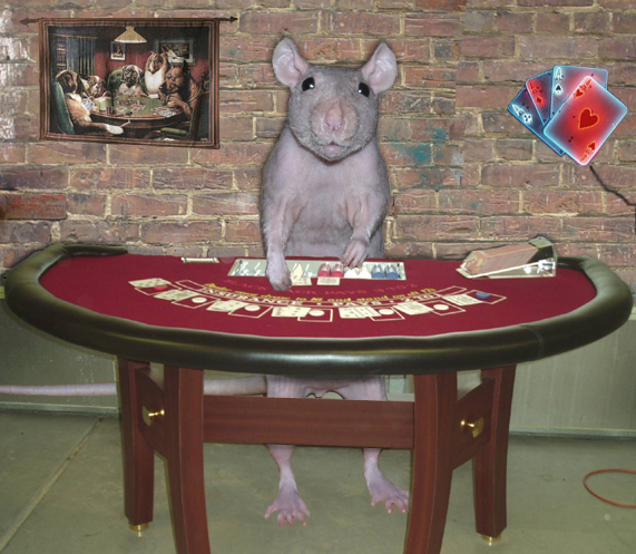 Diseño de Photoshop por Megain para DesignCrowd (Community Contests) | Diseño #9123537