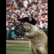 Photoshop Design by Dry_ice