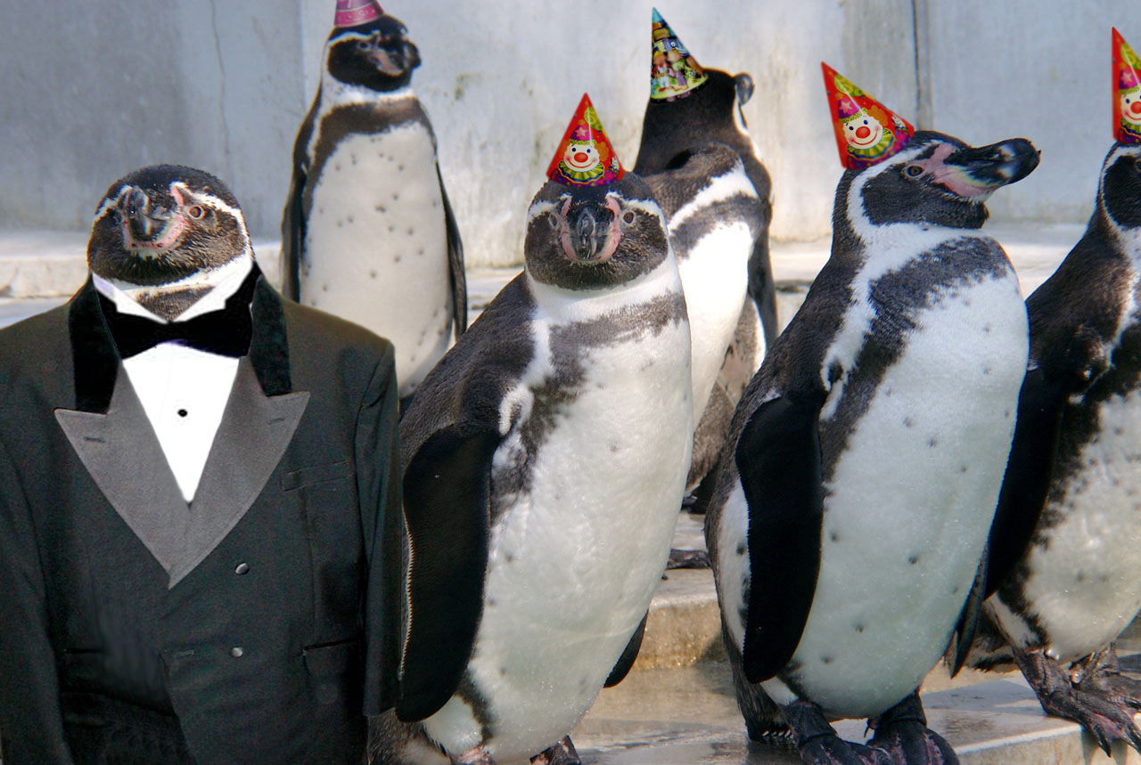 Photoshop Design by Nitehawk for DesignCrowd (Community Contests) | Design #9128929