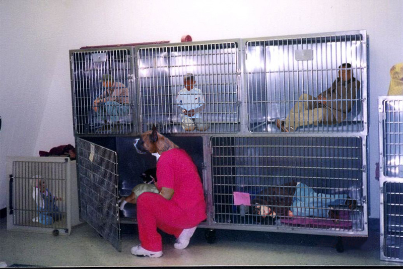 Design Photoshop par Scarlette pour DesignCrowd (Community Contests) | Design #9123531