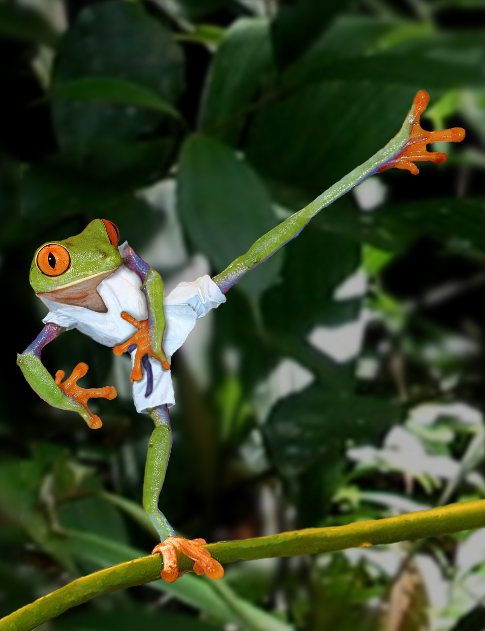 Photoshop-Design von cl0ckw0rk für DesignCrowd (Community Contests) | Design #9128962