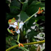 Photoshop Design by cl0ckw0rk