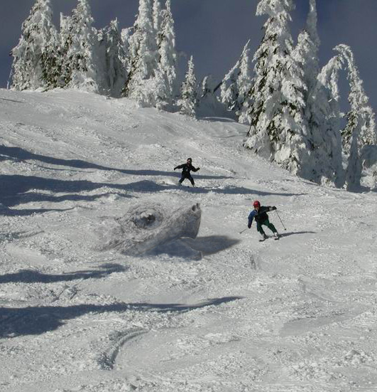 Photoshop-Design von londubh für DesignCrowd (Community Contests) | Design #9120454