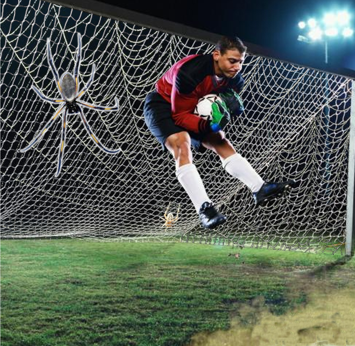 Photoshop Design by sergiopaulos for DesignCrowd (Community Contests) | Design #9120525