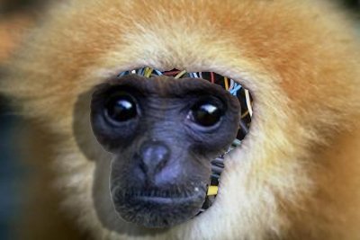 Photoshop Design by imick148 for DesignCrowd (Community Contests) | Design #9122061