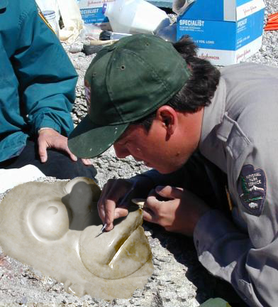 Photoshop-Design von avinagoo für DesignCrowd (Community Contests) | Design #9108184