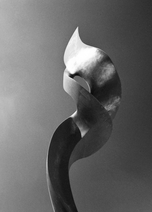 Photography by thesecretsharer for DesignCrowd (Community Contests) | Design #9110394