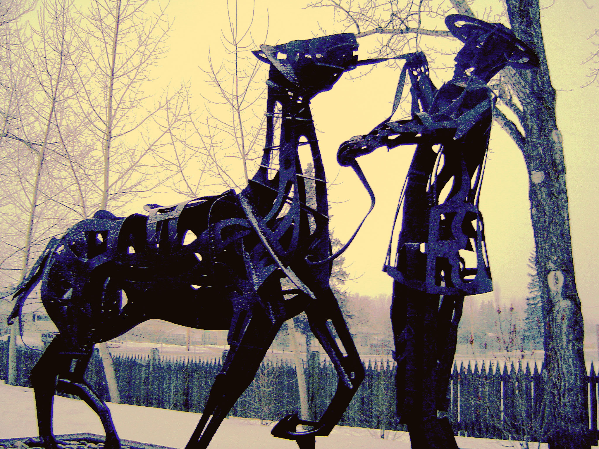 Photography by NovemberFox for DesignCrowd (Community Contests) | Design #9110426