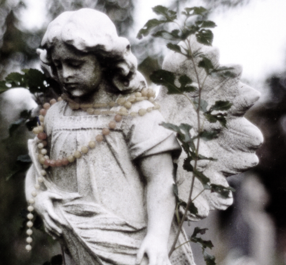 Photography by dollyllama for DesignCrowd (Community Contests) | Design #9110372