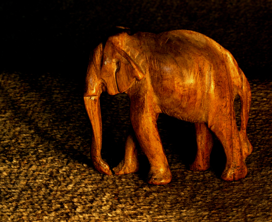 Fotografía por RitaRichter para DesignCrowd (Community Contests) | Diseño #9110404