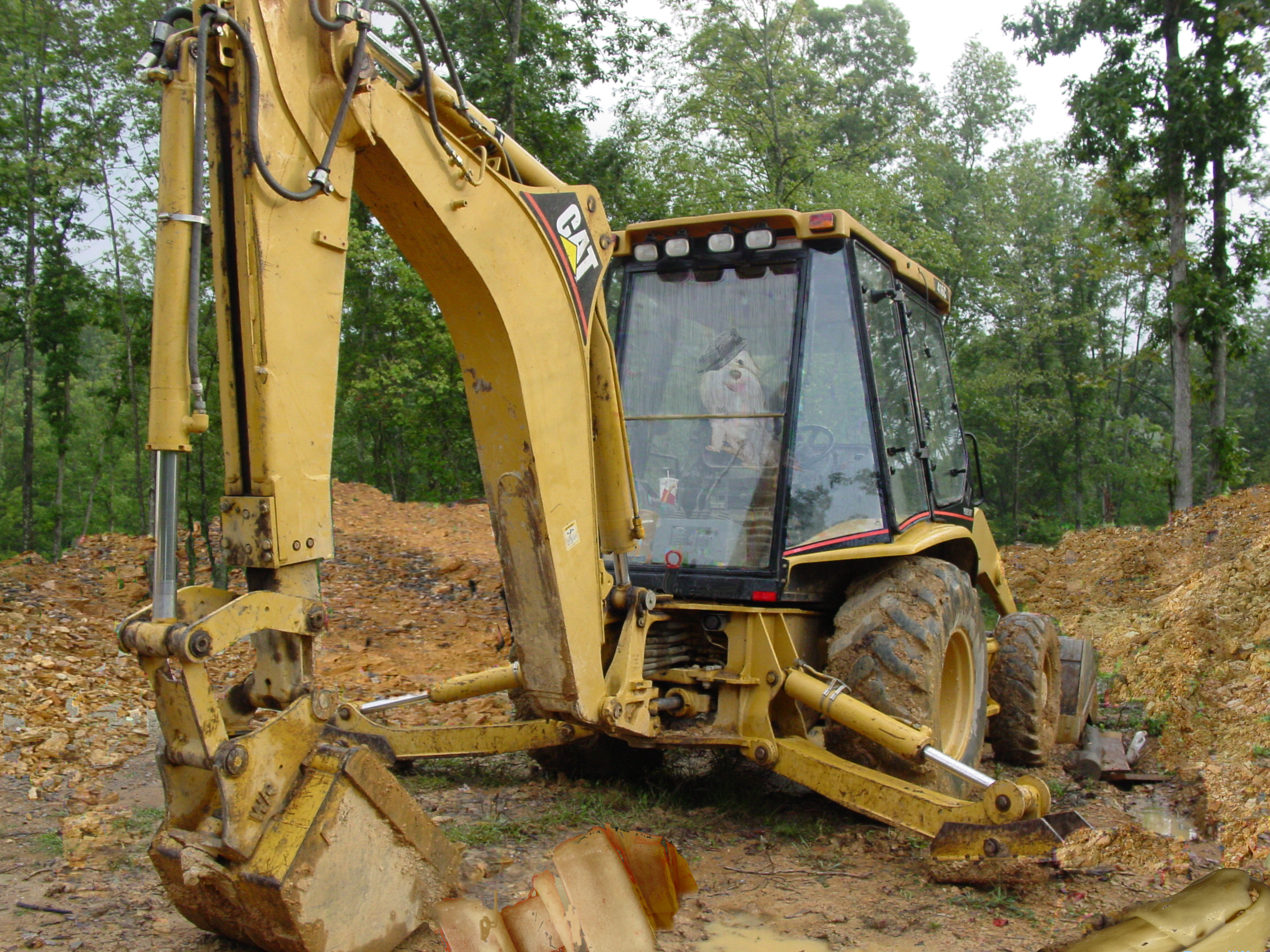 Design Photoshop par Angeldog1 pour DesignCrowd (Community Contests) | Design #9122826