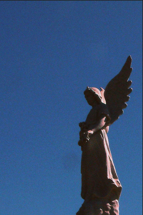 Fotografía por OneHappyFemale para DesignCrowd (Community Contests) | Diseño #9110375