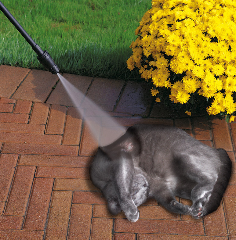 Design Photoshop par Anakinnnn pour DesignCrowd (Community Contests) | Design #9122886