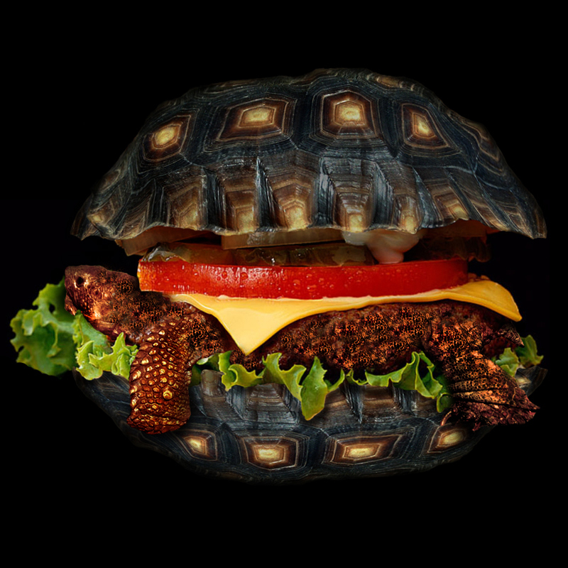 Photoshop-Design von sylver für DesignCrowd (Community Contests) | Design #9123648