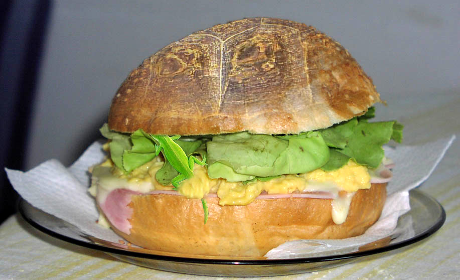 Photoshop Design by zeesamar for DesignCrowd (Community Contests) | Design #9123724