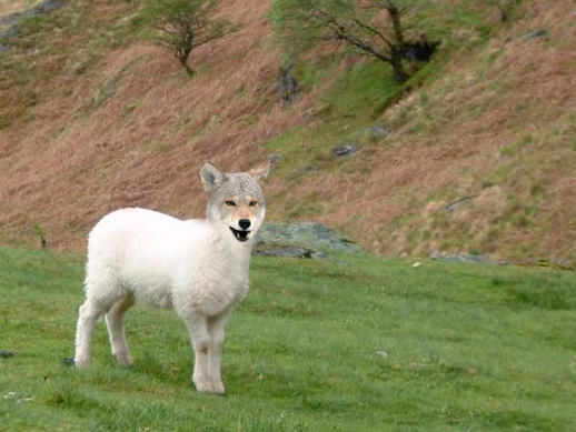 Photoshop Design by ashleyulmer for DesignCrowd (Community Contests) | Design #9104428