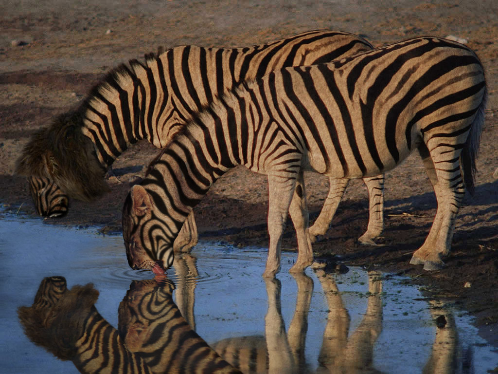 Design Photoshop par Psionic pour DesignCrowd (Community Contests) | Design #9104453