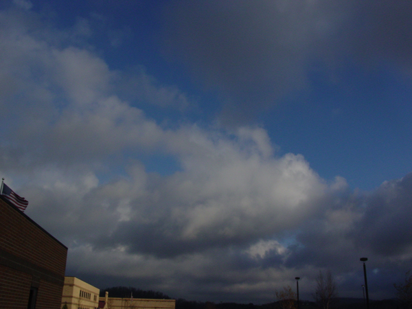 Fotografie von Angeldog1 für DesignCrowd (Community Contests) | Design #9109871