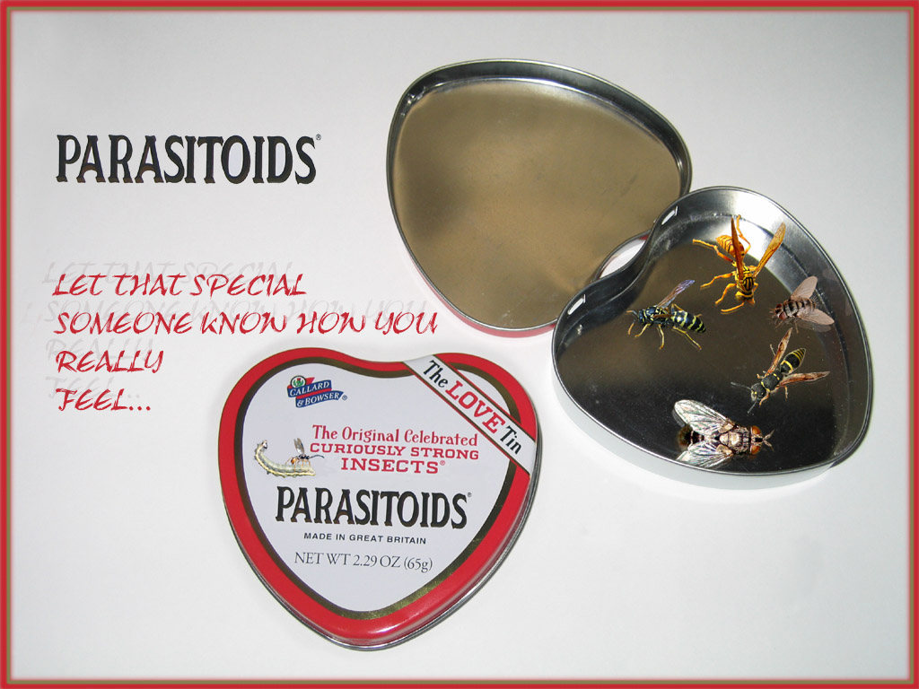 Photoshop Design by DFragXD for DesignCrowd (Community Contests) | Design #9123782