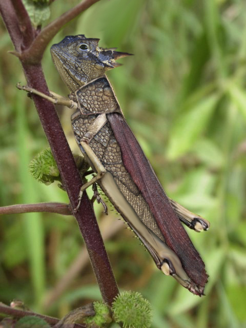 Photoshop-Design von geofferson für DesignCrowd (Community Contests) | Design #9104475