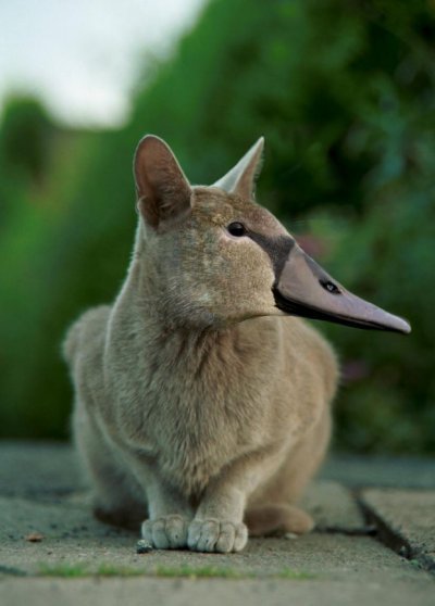 Design Photoshop par Cj pour DesignCrowd (Community Contests) | Design #9104456