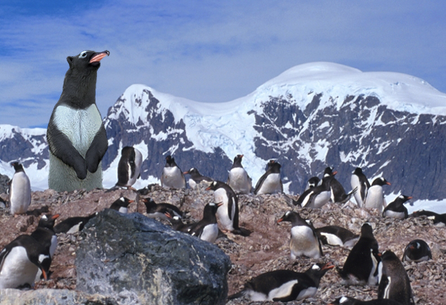 Diseño de Photoshop por downside para DesignCrowd (Community Contests) | Diseño #9104462