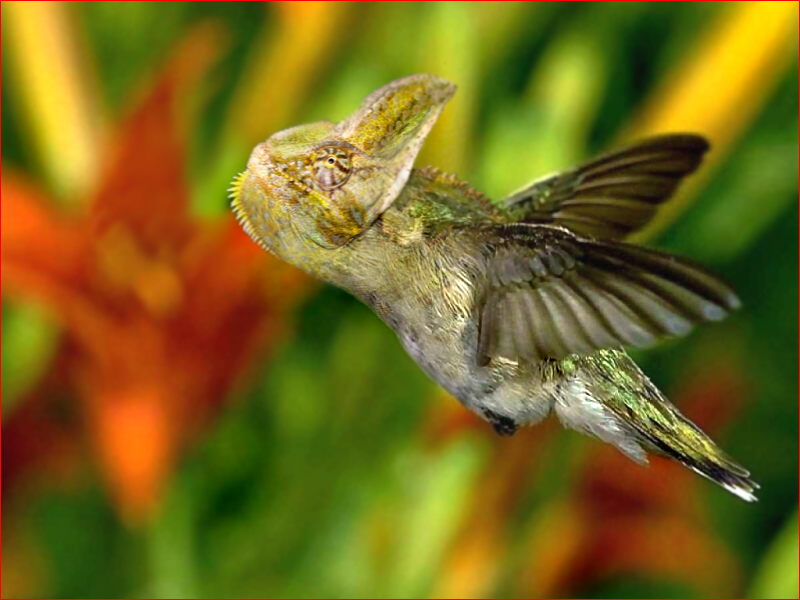 Design Photoshop par AugixX pour DesignCrowd (Community Contests) | Design #9104529