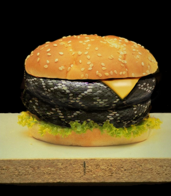 Design Photoshop par m000ch pour DesignCrowd (Community Contests) | Design #9123738